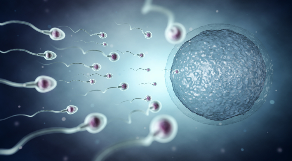 Studio sulla fertilità maschile e smog