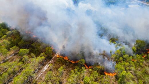 Incendi boschivi in Italia 2026