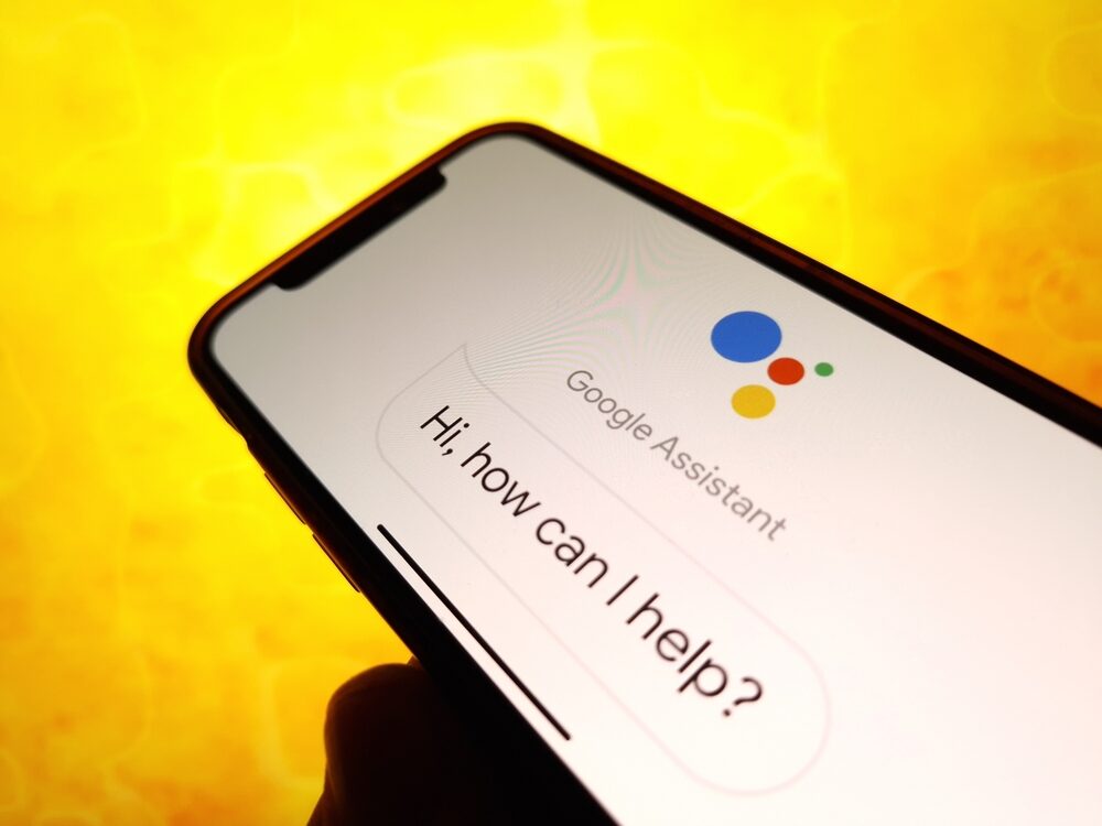 Interruzione di Google Assistant