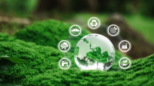 Eco Festival 2026 a Roma