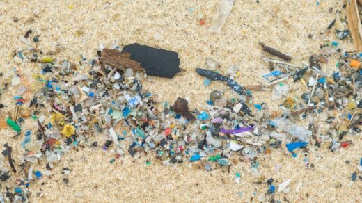 Emergenza plastica in Italia